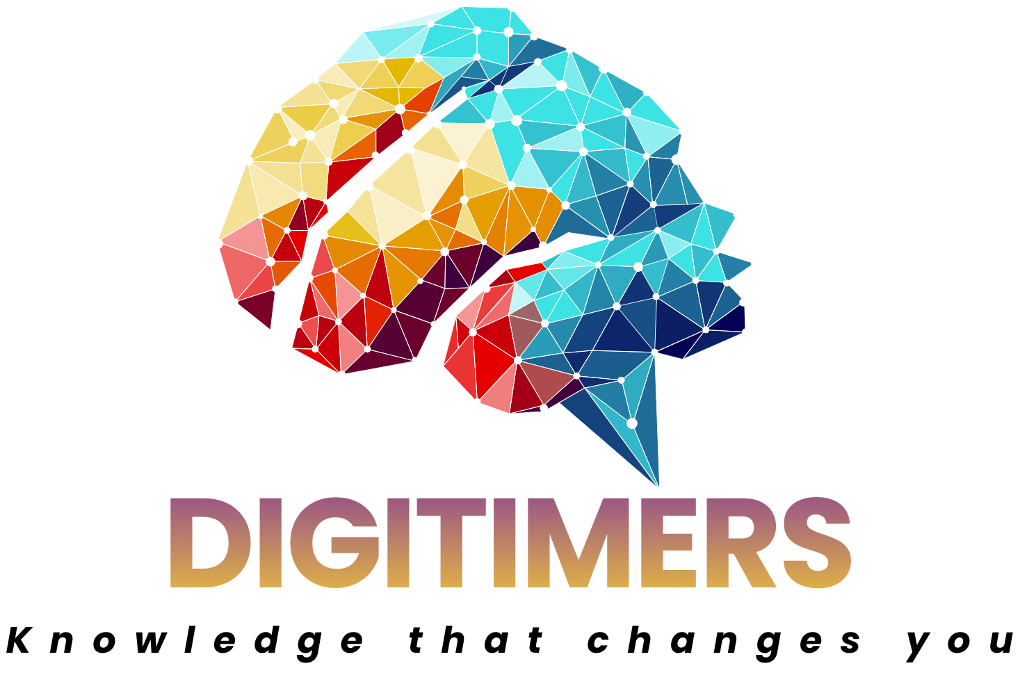 Digitimers